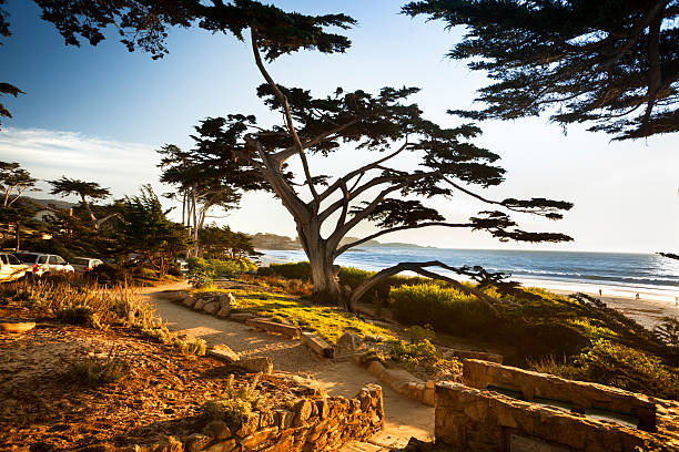 carmel spiaggia di carmel-by-the-sea - pebble beach california foto e immagini stock