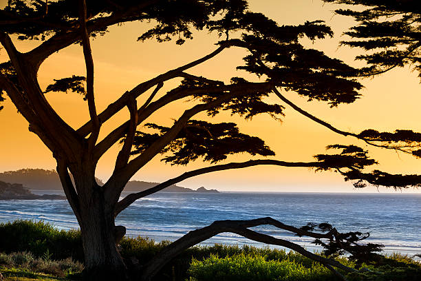 Sand beach by the Pacific Ocean coastline in Carmel California near Monterey