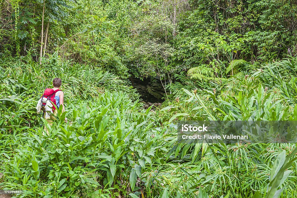 Gran Parque Natural Topes de Collantes, Cuba - Foto de stock de Cuba libre de derechos