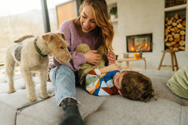 istock Cozy afternoon in our home 1755948863