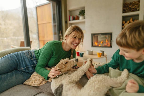 istock Cozy afternoon in our home 1755949983