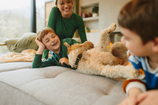 istock Cozy afternoon in our home 1755951614
