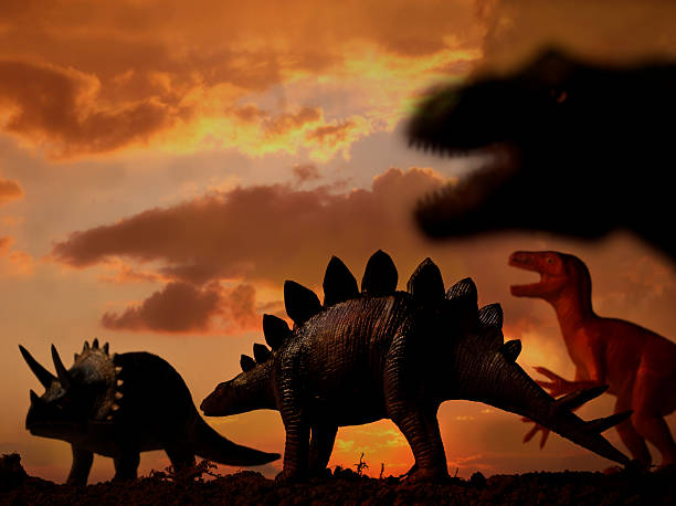 dinosauri - stegosauro foto e immagini stock