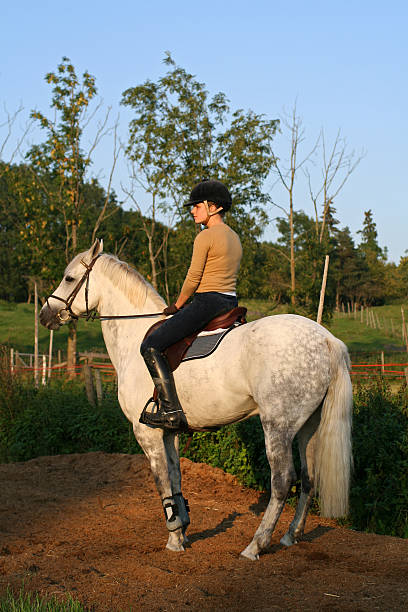 istock Girl Sitting on a White Horse 175596512