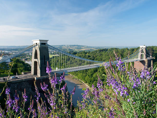 istock Clifton suspension bridge. 175596958