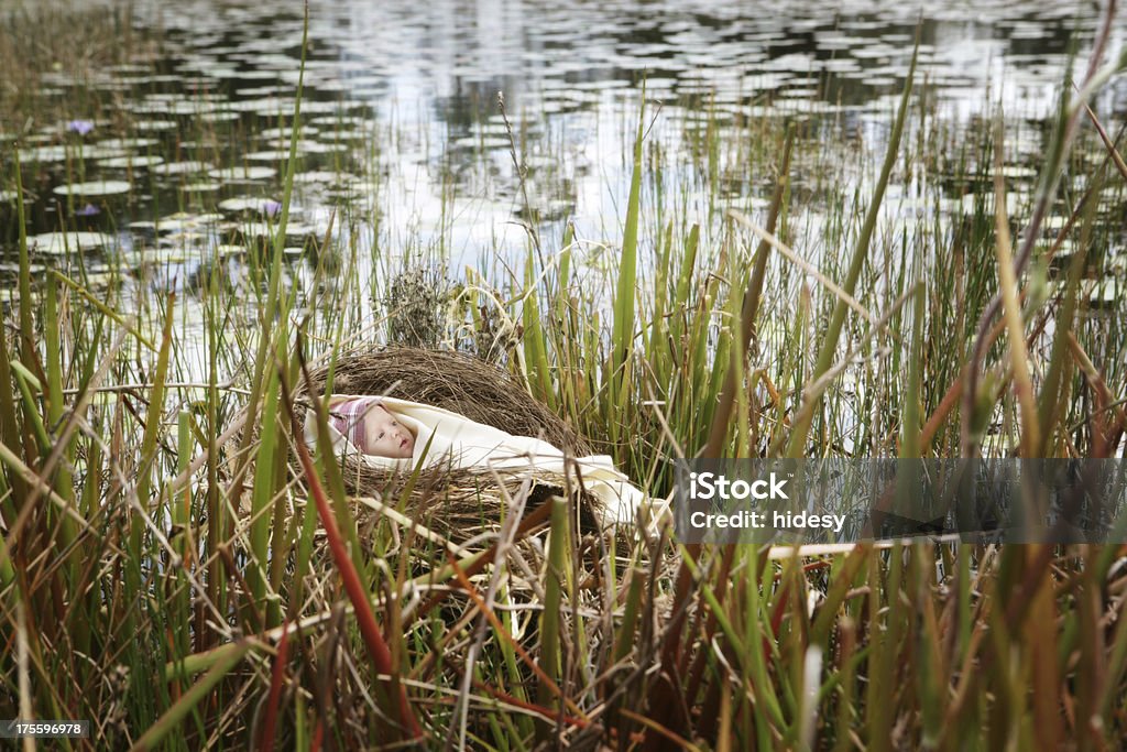 Bebê na Bullrushes - Royalty-free Moisés - Figura religiosa Foto de stock