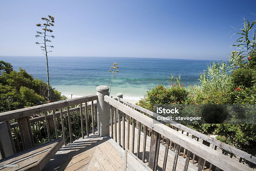 Тихий океан с балконом - Стоковые фото Агава роялти-фри