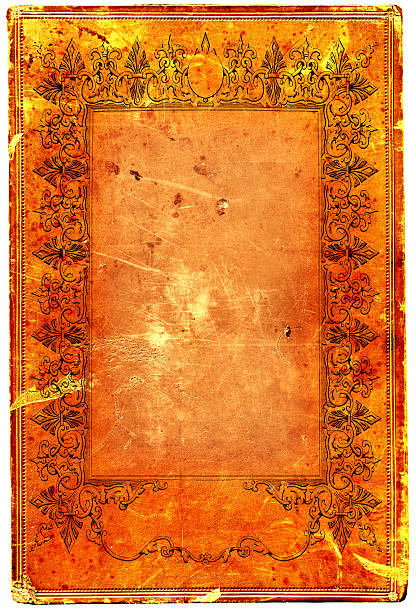 그런지 프페임 - scroll old parchment photograph stock illustrations