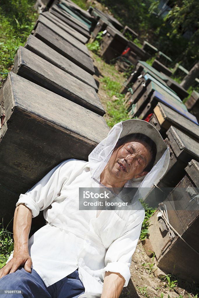 Apicultor en reposo - Foto de stock de 50-59 años libre de derechos