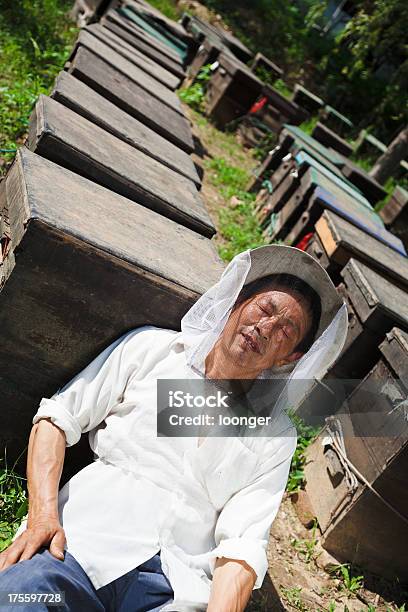 Apicoltore A Riposo - Fotografie stock e altre immagini di Adulto - Adulto, Adulto in età matura, Agricoltura