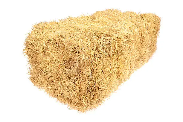 Golden square haybale isolated on white. They have always been known as square haybales even though all the sides are rectangles.