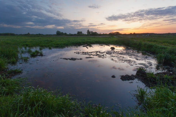 istock Pond on a green meadow and sunset 1755979672