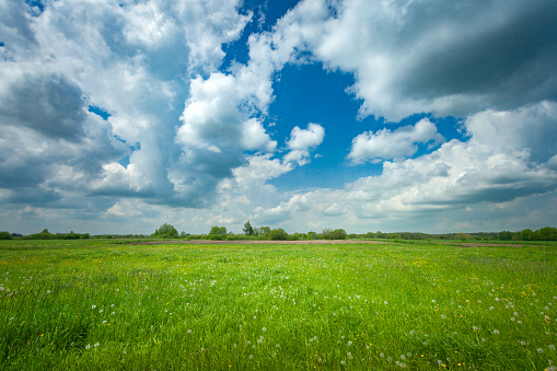 Gray and white clouds in the sky over a rural green meadow, May day