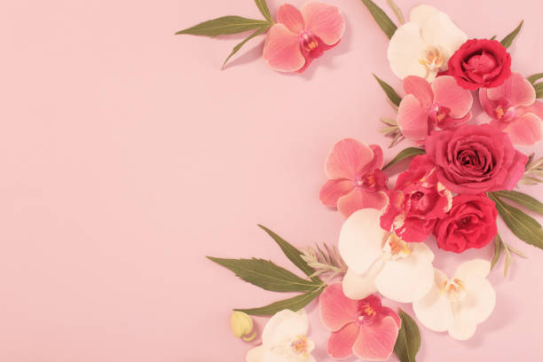 istock pattern of summer flowers on color paper background 1755980791
