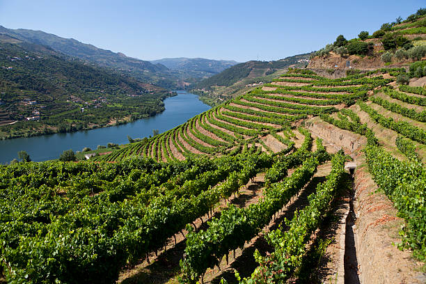 douro-tal - fluss douro stock-fotos und bilder