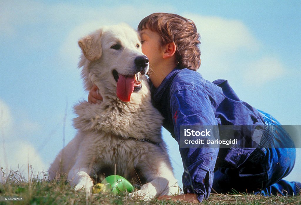 Animali cani e bambini - Foto stock royalty-free di Amicizia