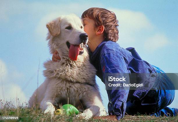 Animali Cani E Bambini - Fotografie stock e altre immagini di Amicizia - Amicizia, Animale, Baciare