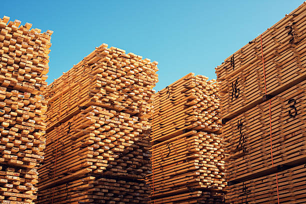 Lumber Yard stock photo