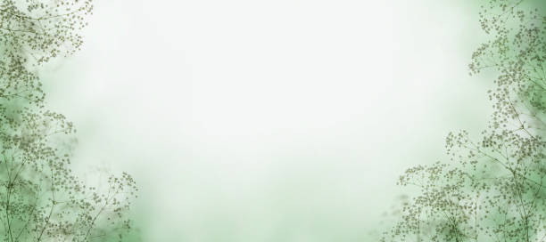 Abstract green border, floral composition background