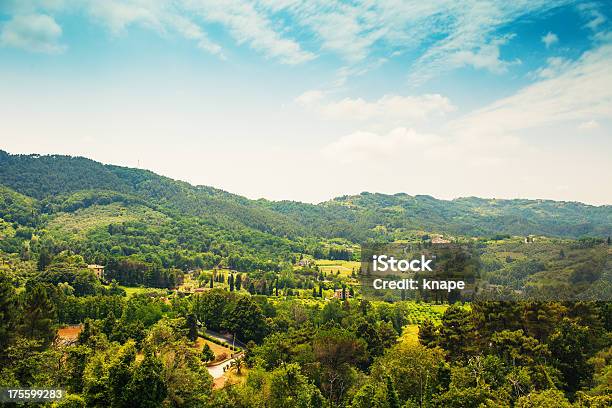 Scenics From Pietrasanta Italy Stock Photo - Download Image Now - Aerial View, Agriculture, Bright