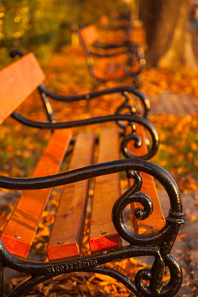 istock Autumn a park bench in Hungary 175599470