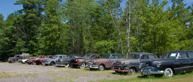 Antique Cars Lined Up in a Row