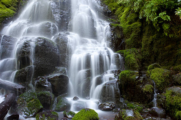 istock Waterfall on the Wahkeena Fall Trail in Columbia River Gorge 175599844