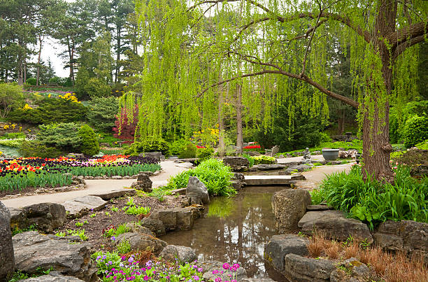 istock Spring Blooms In The Rock Garden 175599889