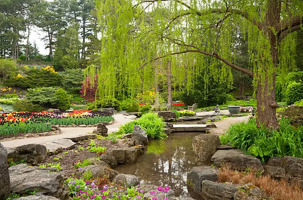 The rock garden at the Royal Botanical Garden's in Burlington with the tulips in full bloom and refections in the pond.