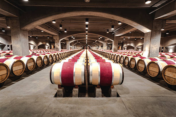 cave à vins - aging process french culture winemaking next to photos et images de collection