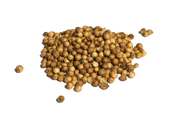 istock dried coriander fruits 175600251