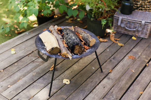 istock Dry firewoods in metal fireplace 1756005703