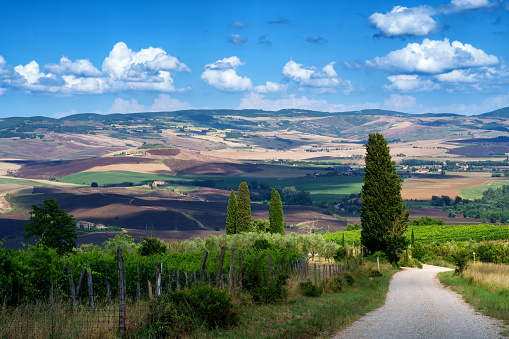 Rural landscape in Tuscany near San Quirico d Orcia, Siena province, Tuscany, Italy
