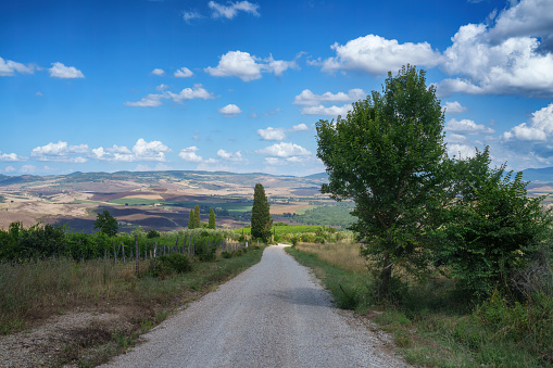 Rural landscape in Tuscany near San Quirico d Orcia, Siena province, Tuscany, Italy