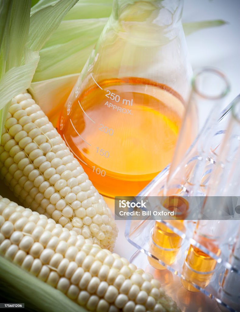 Biocarburant ou de sirop de maïs - Photo de Maïs libre de droits