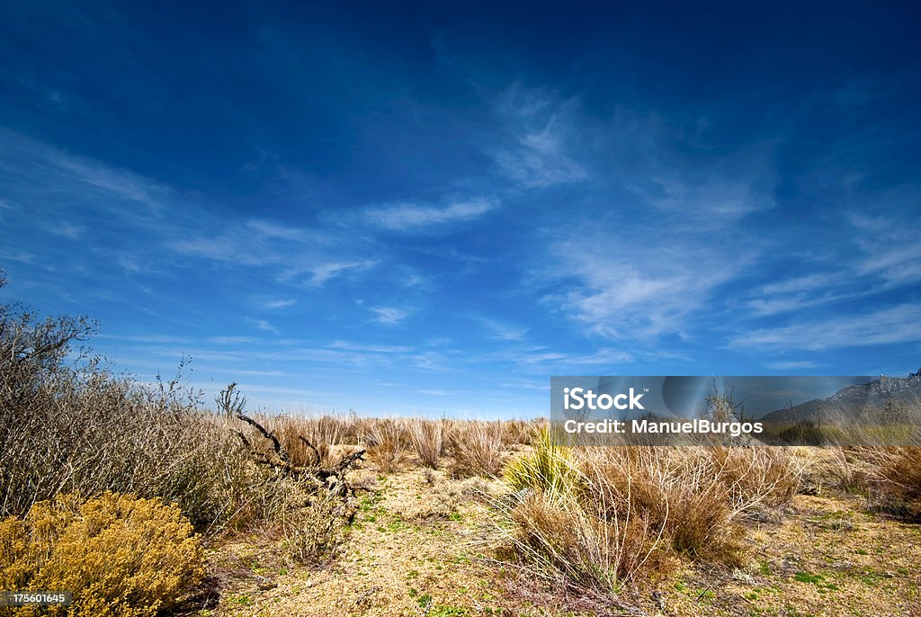 Paisaje del desierto alto - Foto de stock de Aire libre libre de derechos