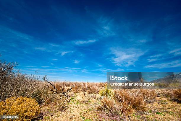 Paisaje Del Desierto Alto Foto de stock y más banco de imágenes de Aire libre - Aire libre, Cielo, Desierto