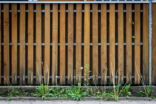 Fence of brown wooden boards. Wooden fence with grass under it.
