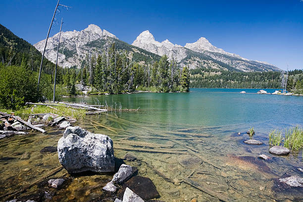 Jackson Lake, Wyoming, USA: Leek's Marina is a scenic spot located on the eastern shore of Jackson Lake in Grand Teton National Park, Wyoming. It offers stunning views of the Teton Range and is a popular destination for boating, fishing, and picnicking. The marina provides boat rentals, dock space, and a small store for supplies. Its proximity to the lake’s deep waters makes it an ideal base for exploring Jackson Lake's vast, glacier-fed expanse.