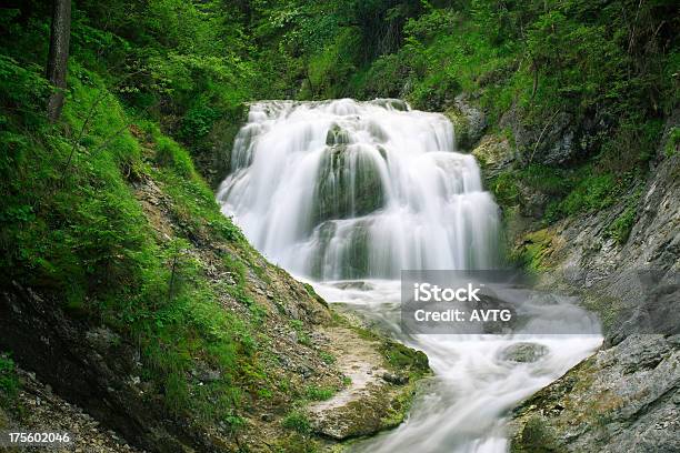 Waterfall Stock Photo - Download Image Now - Animals In The Wild, Cleaning, Clear Sky