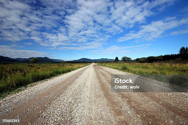 El Long Road Serie Uno Foto de stock y más banco de imágenes de Aire libre - Aire libre, Alberta, Arbusto