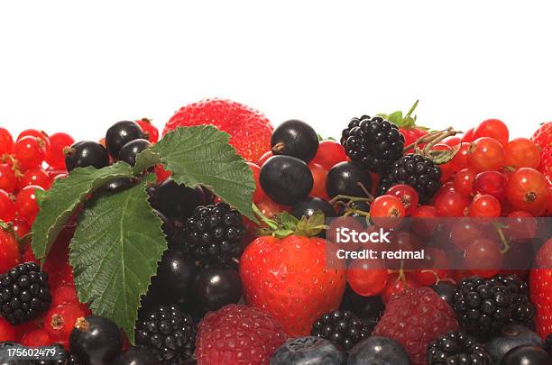 Spät Sommer Obst Stockfoto und mehr Bilder von Amerikanische Heidelbeere - Amerikanische Heidelbeere, Auf die Uhr sehen, Blatt - Pflanzenbestandteile