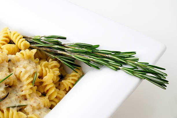 rotini rosemary rotini pasta, white parmesan sauce and rosemary pecorino romano stock pictures, royalty-free photos & images