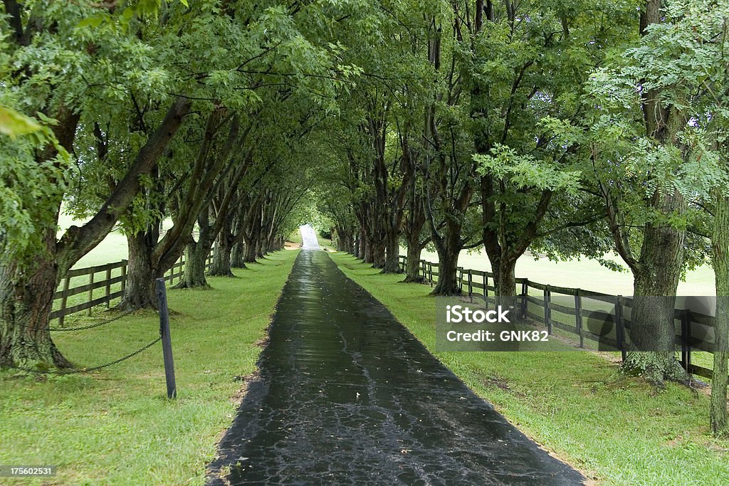 Baum alley - Lizenzfrei Abschied Stock-Foto