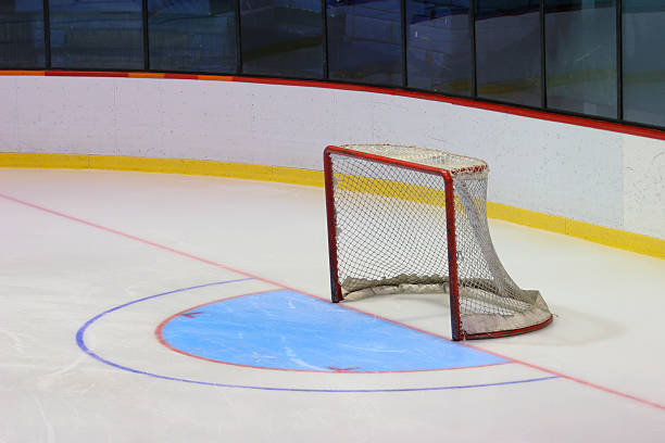 istock Empty Hockey goal in Arena 175602534