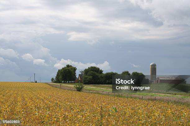 Foto de Midwest Do Campo No Final Do Verão Nos Eua e mais fotos de stock de Casa - Casa, Iowa, Agricultura