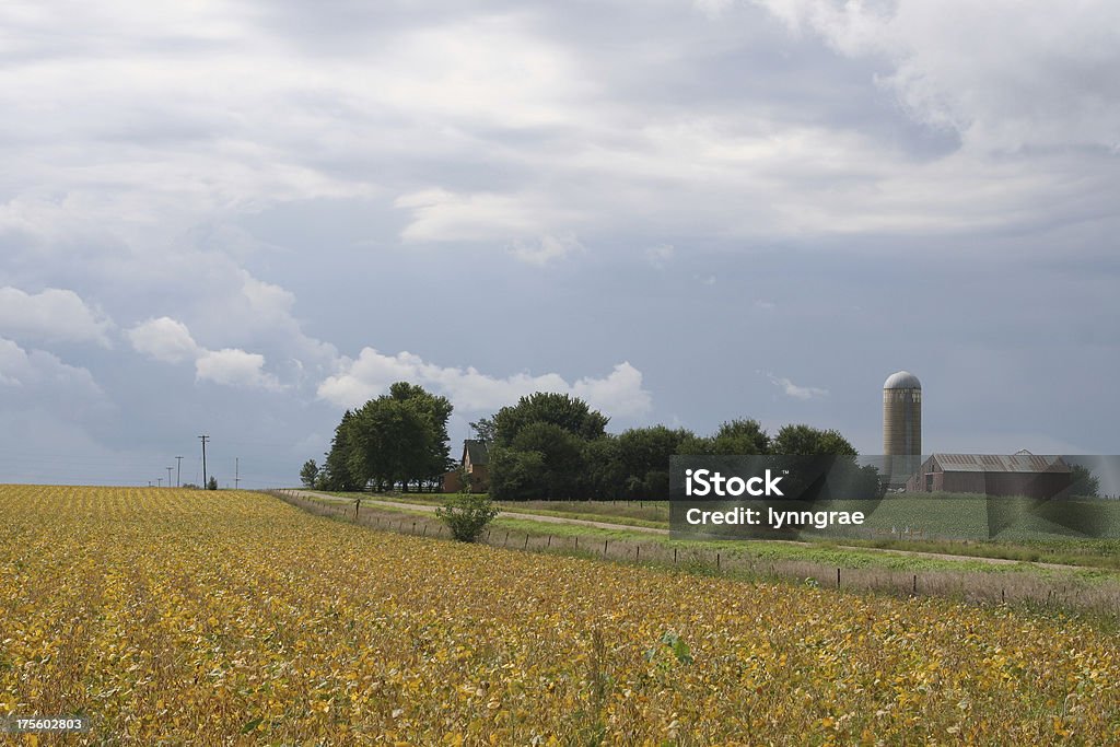 Midwest ферма в конце лета - Стоковые фото Айова роялти-фри