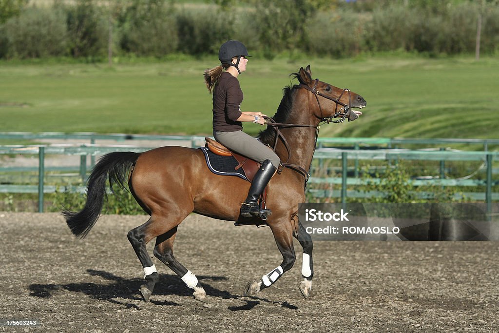 A preparar para mover - Royalty-free Concurso de Saltos Hípicos Foto de stock