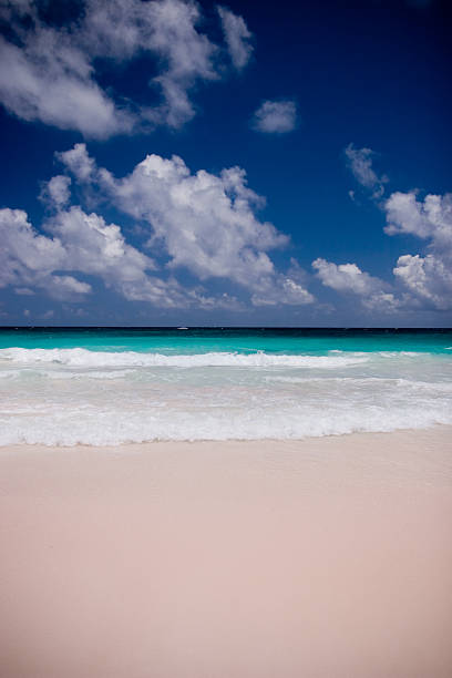 praia de areias cor-de-rosa - eleuthera island - fotografias e filmes do acervo