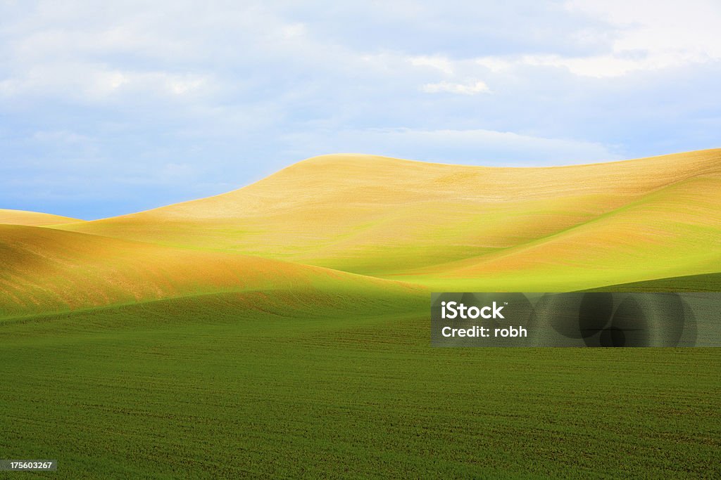 Eastern Washington paesaggio - Foto stock royalty-free di Palouse